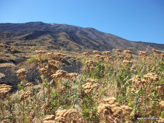 Monte_Corvo - 01-11-2012 11-05-59.JPG
